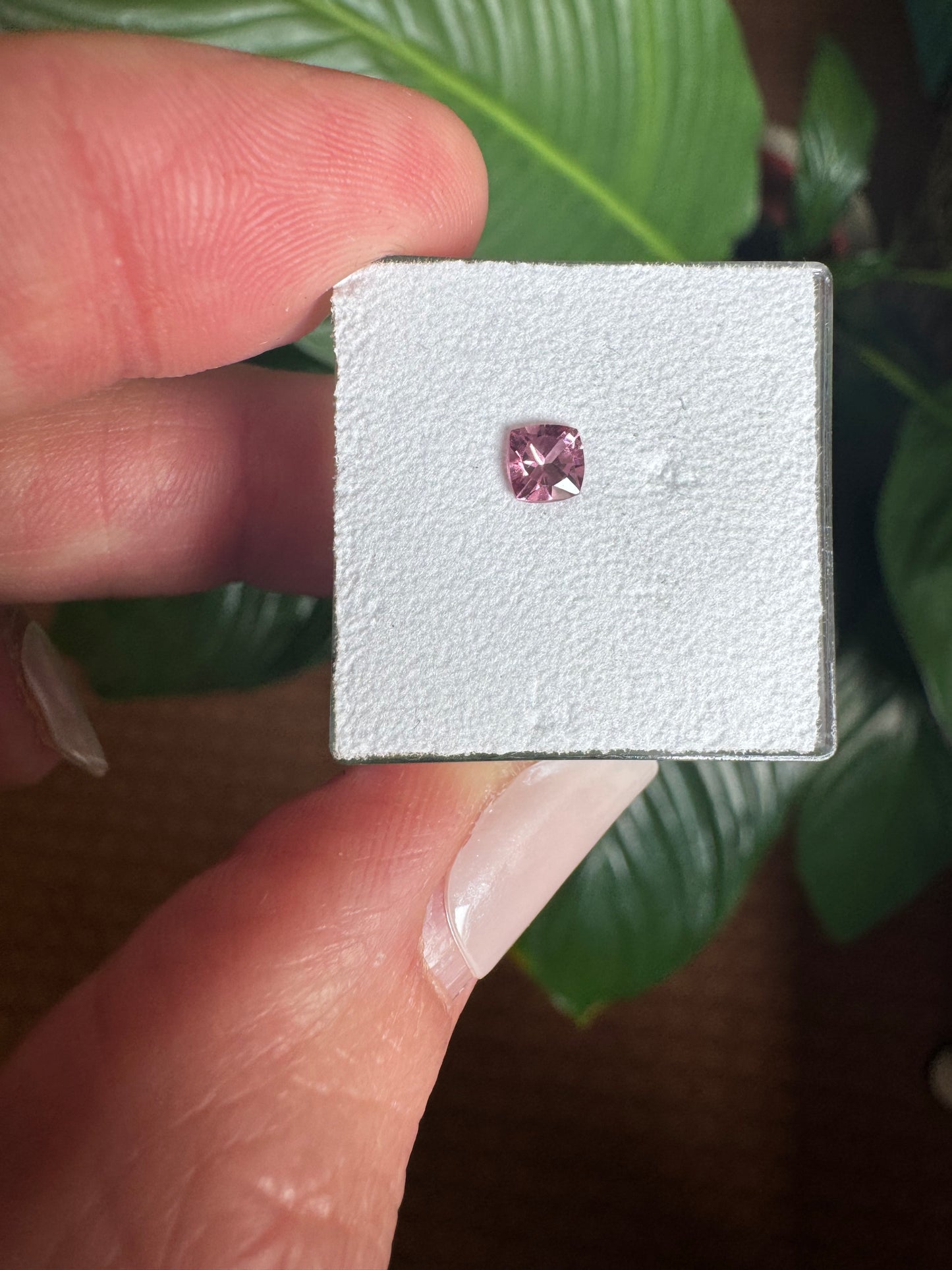 Malaya Granat, Rosa, Kissen, verschiedene Größen